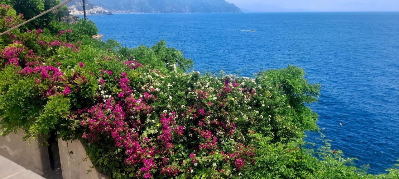 Villa Gianna Amalfi Coast Conca dei Marini Exterior photo