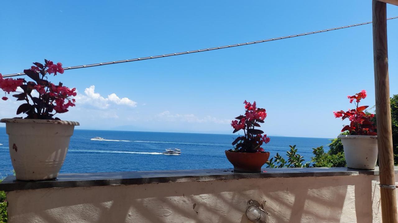 Villa Gianna Amalfi Coast Conca dei Marini Exterior photo